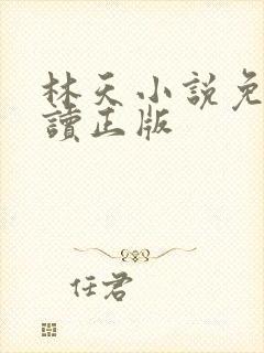 林天小说免费阅读正版