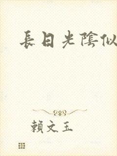 长日光阴似箭封面