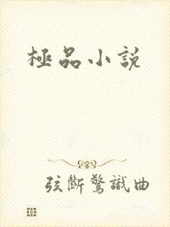 极品小说