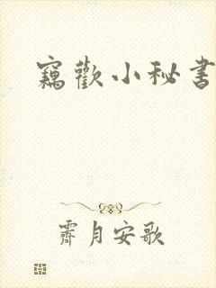 窃欢小秘书