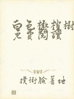 白色橄榄树全文免费阅读