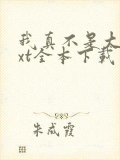 我真不是大佬txt全本下载