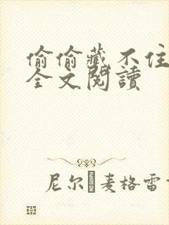 偷偷藏不住小说全文阅读封面