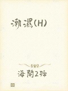 潮湿(H)