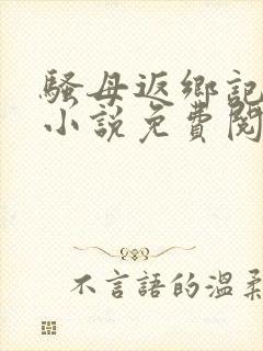 骚母返乡记原文小说免费阅读封面