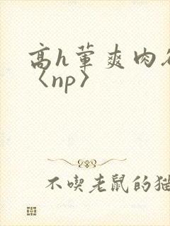 高h荤爽肉欲文〈np〉