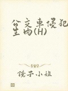 公交车侵犯小男生肉(H)