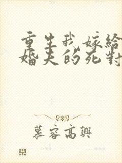 重生我嫁给了未婚夫的死对头