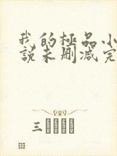 我的极品小姨小说未删减完整版