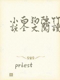 小白狗陈竹岚小说全文阅读免费
