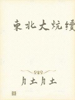 东北大炕续集封面