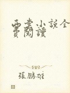 西棠小说全文免费阅读