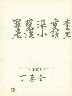 罪孽深重李茹王老汉小说免费全文