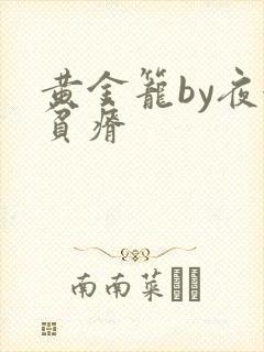 黄金笼by夜很贫瘠