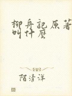 柳舟记原著小说叫什么封面