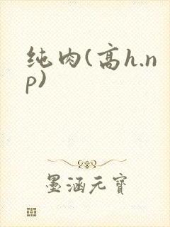 纯肉(高h.np)