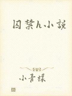 囚禁h小说