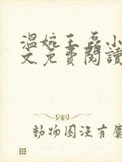 温婉王磊小说全文免费阅读无弹窗