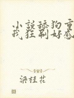 小说舔狗重生,我狂刷好感度小说封面