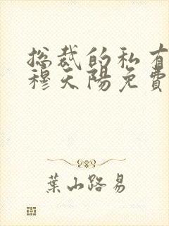 总裁的私有宝贝穆天阳免费封面
