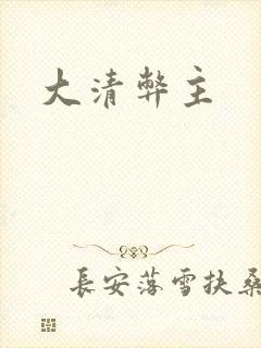 大清弊主封面