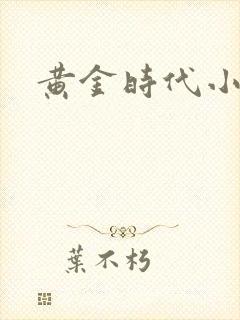 黄金时代小说封面