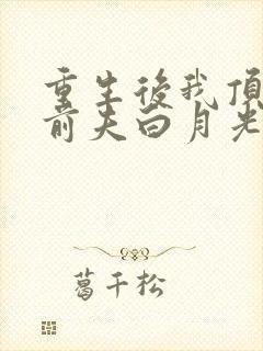 重生后我顶替了前夫白月光的结局