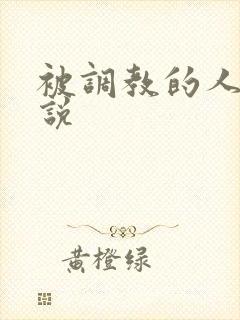 被调教的人妻小说封面