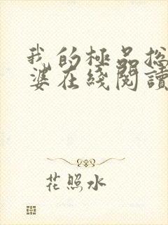 我的极品总裁老婆在线阅读