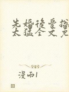 先婚后爱总裁别太猛全文免费阅读封面