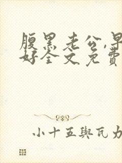 腹黑老公,早上好全文免费阅读