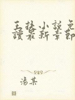 王扶小说免费阅读最新章节无弹窗