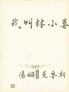 我叫林小喜17