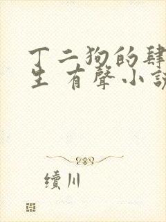 丁二狗的肆意人生 有声小说