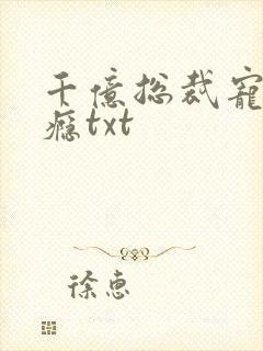 千亿总裁宠妻成瘾txt封面