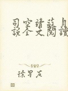 司空靖苏月夕小说全文阅读