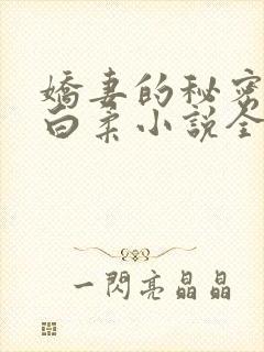 娇妻的秘密王平白柔小说全文阅读