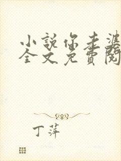 小说你老婆掉了全文免费阅读