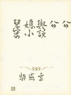 儿媳与公公的秘密小说