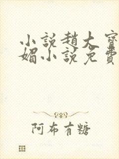 小说赵大宝和苏媚小说免费阅读