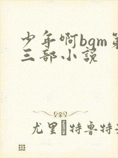 少年啊bgm第三部小说封面