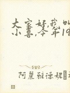 大家好,我叫林小喜,今年19岁小说