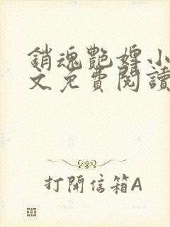 销魂艳婢小说全文免费阅读