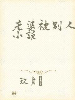 老婆被别人干了小说封面