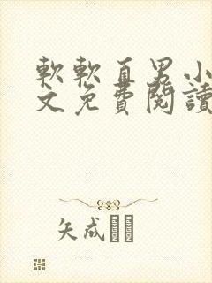 软软直男小说全文免费阅读封面