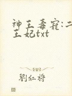 神王毒宠:二嫁王妃txt封面