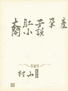 大肚子孕产笔趣阁小说封面