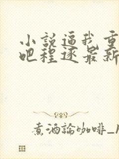 小说逼我重生是吧程逐最新更新
