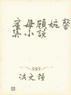 蜜母顾婉馨 全集小说
