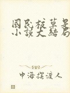 国民校草是女生小说大结局